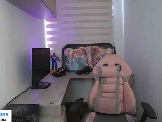 sofirousel webcam