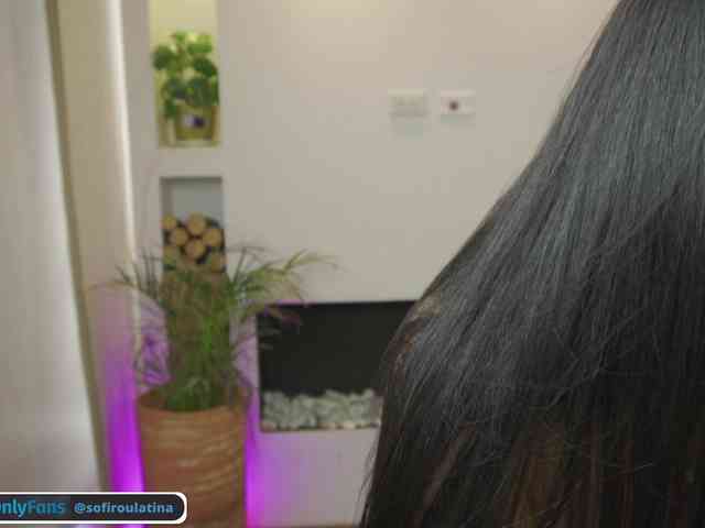 sofirousel webcam