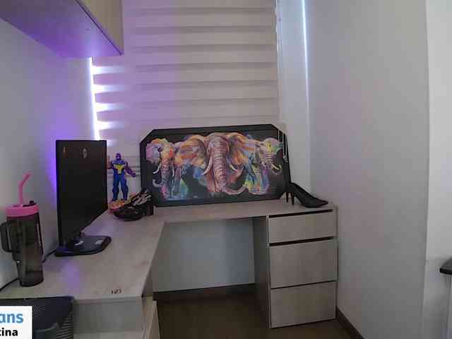 sofirousel webcam
