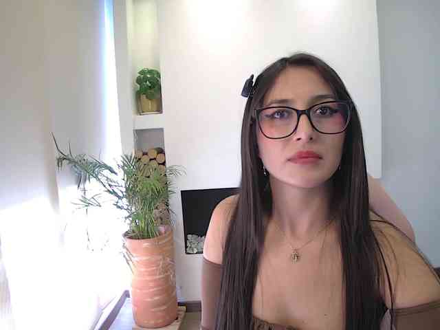 sofirousel webcam