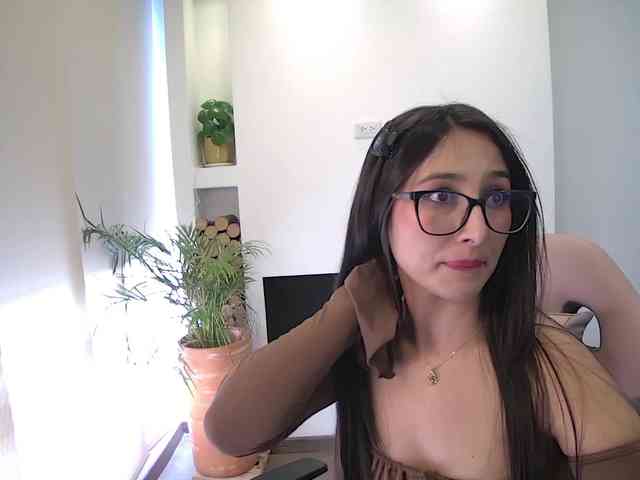 sofirousel webcam