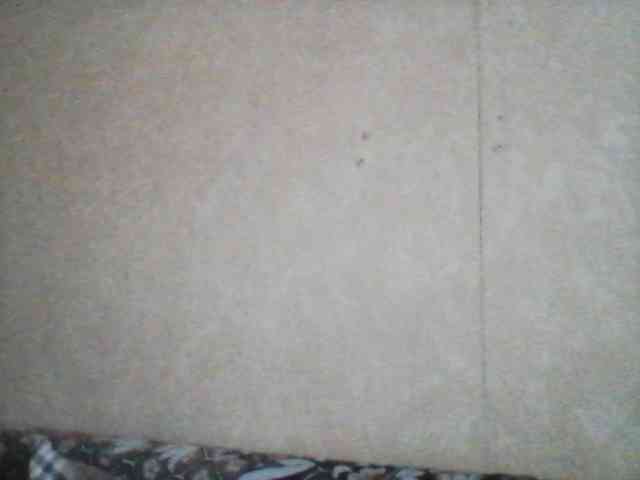 Markess22