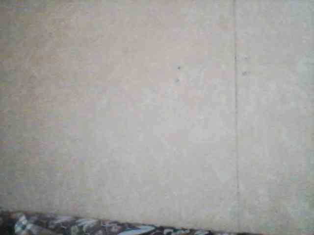 Markess22