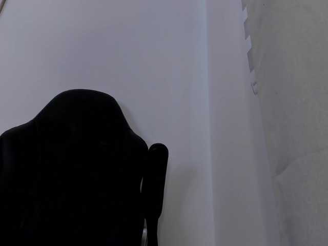 molly-rosse live cam on BongaCams