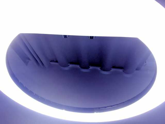 molly-rosse live cam on BongaCams