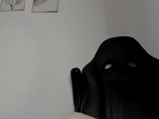 molly-rosse live cam on BongaCams