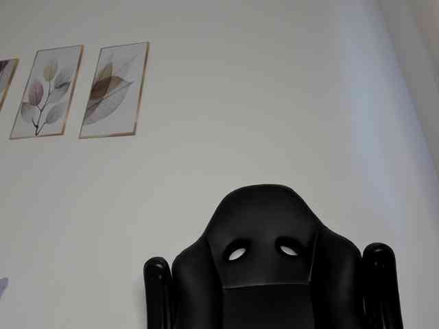 molly-rosse webcam