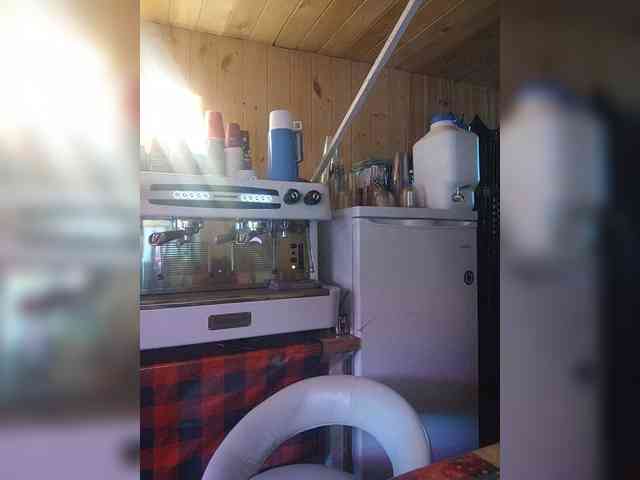 Katriona webcam