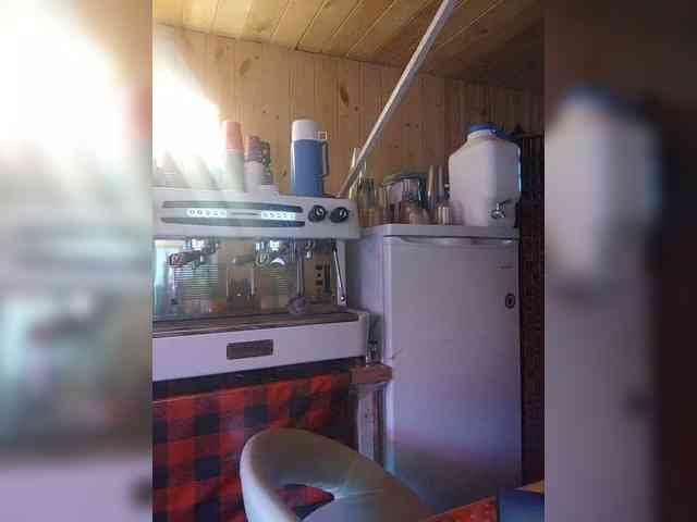 Katriona webcam