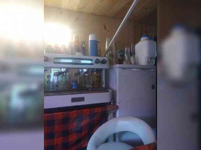 Katriona webcam