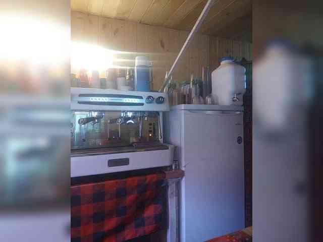 Katriona webcam