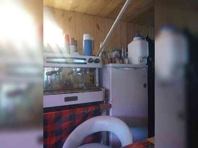 Katriona webcam
