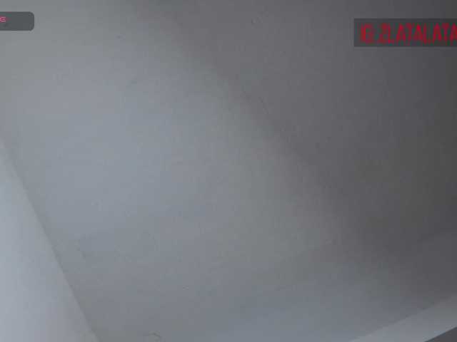 Zlatalata live cam on BongaCams