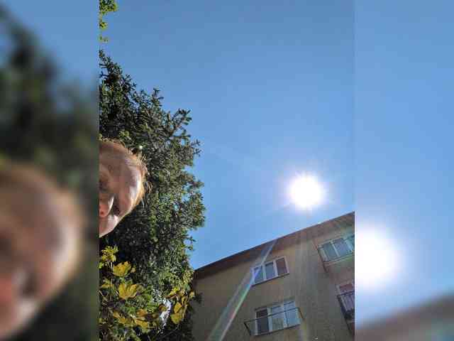 Zlatalata webcam