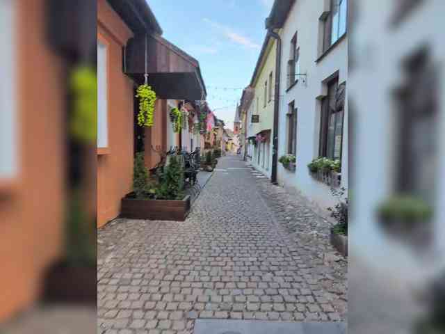 Zlatalata