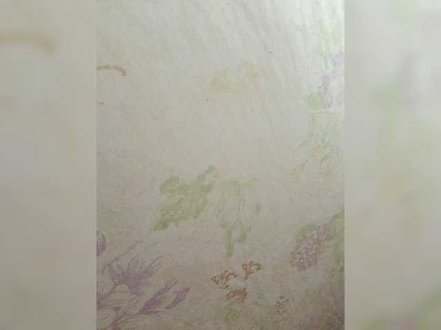 Pisos333