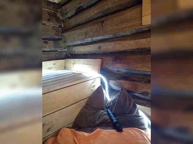 DariMneLubov webcam
