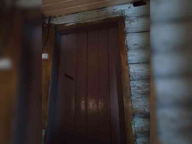 DariMneLubov webcam