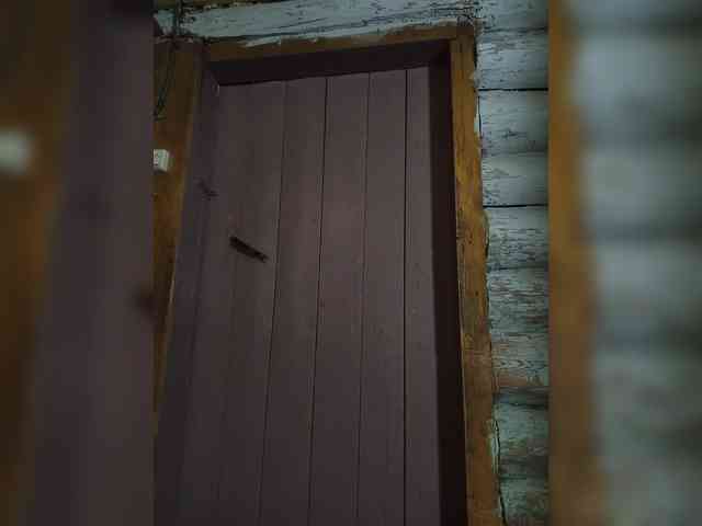 DariMneLubov webcam