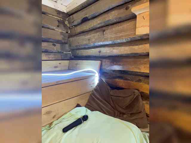DariMneLubov webcam