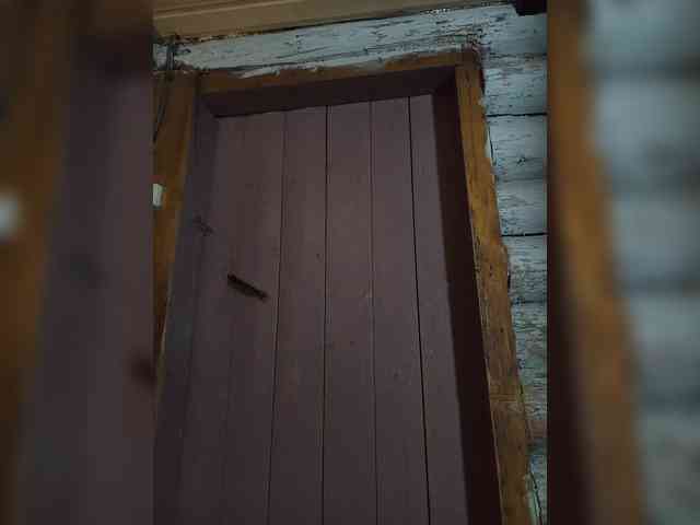 DariMneLubov webcam