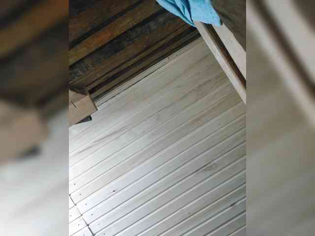 DariMneLubov webcam