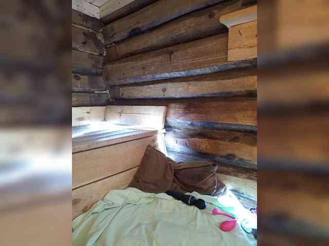 DariMneLubov webcam