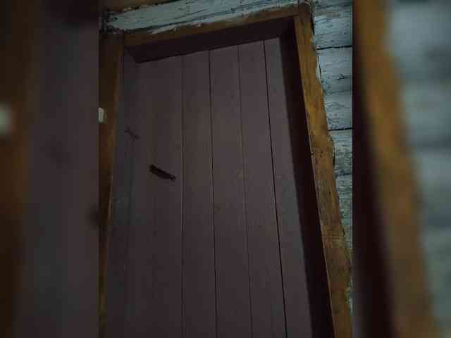 DariMneLubov webcam
