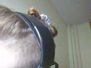 Magretta_Dering