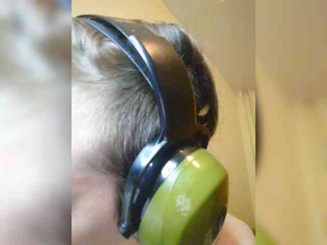 Magretta_Dering webcam