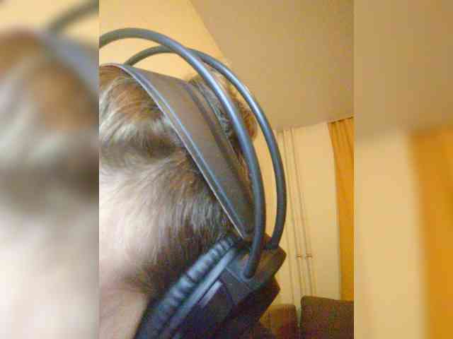 Magretta_dering's cam show statistics and live stream