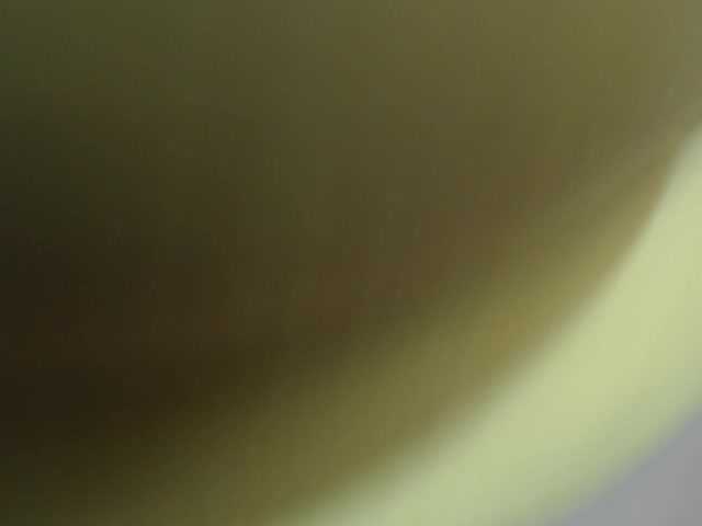 lisacarson live cam on BongaCams
