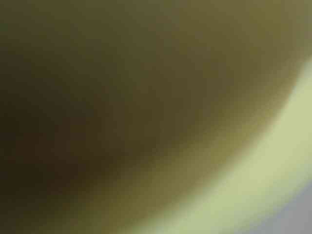 lisacarson lisacarson