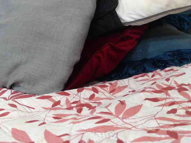 lisacarson webcam