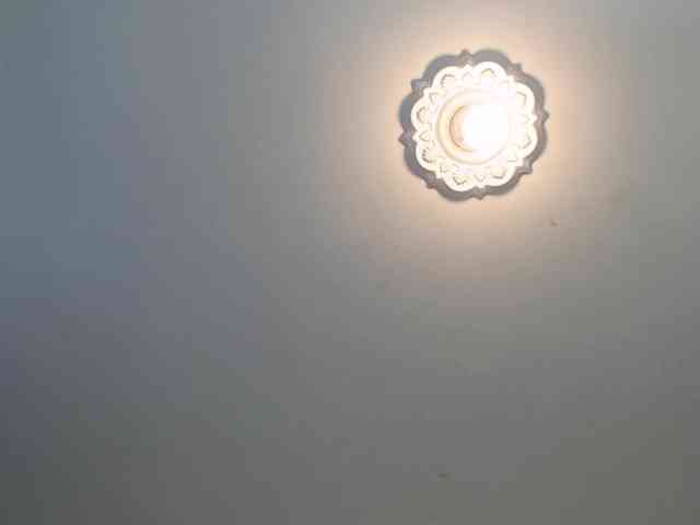 lisacarson webcam