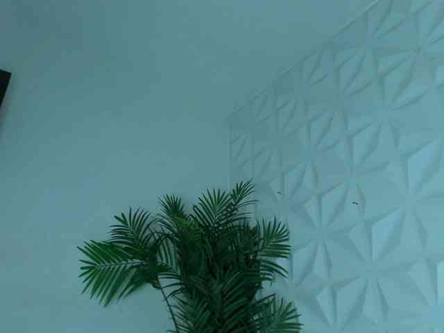 Hellen-Sky webcam