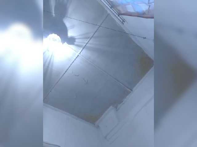 CerdAyaz live cam preview