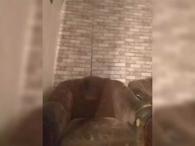 CerdAyaz live cam on BongaCams