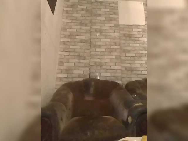 CerdAyaz live cam on BongaCams