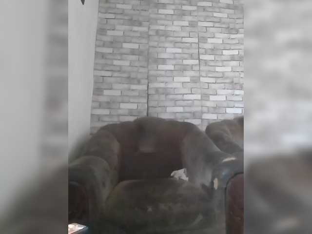 CerdAyaz's BongaCams show and profile