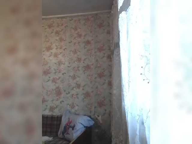 CerdAyaz live cam