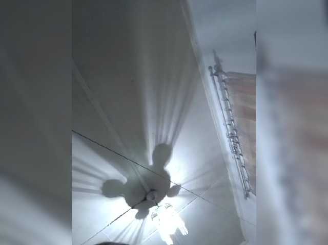 CerdAyaz