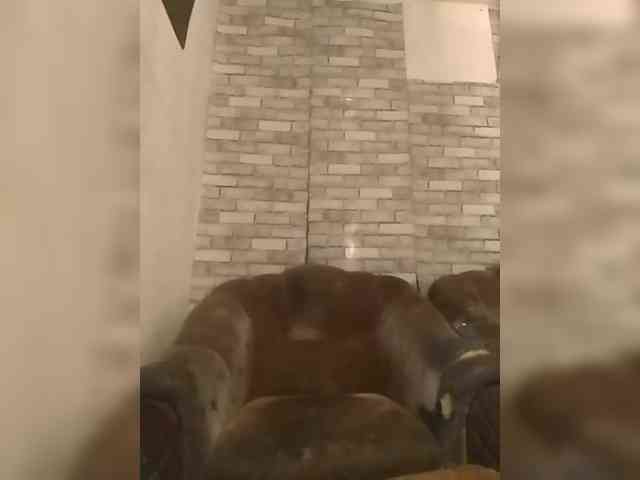 CerdAyaz webcam