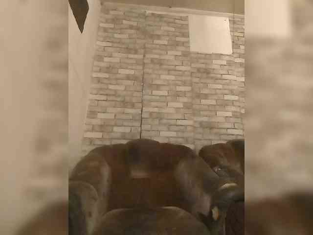 CerdAyaz webcam