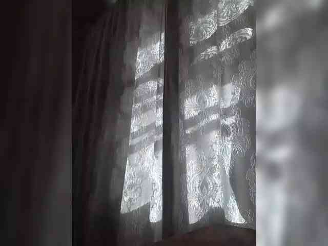 CerdAyaz webcam