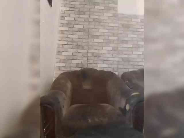 CerdAyaz webcam