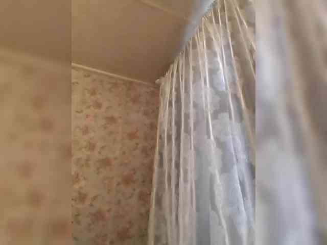 CerdAyaz webcam