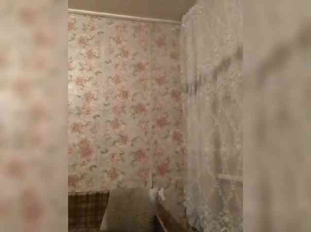 CerdAyaz webcam