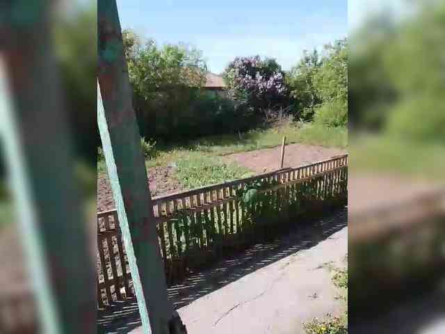 CerdAyaz webcam
