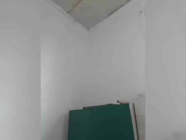 CerdAyaz webcam